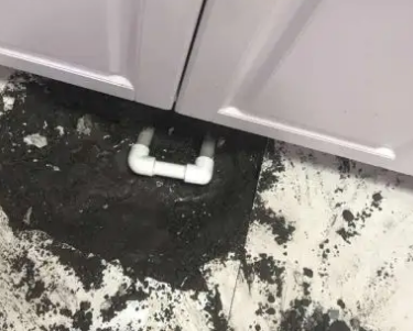 金水查漏水哪家好