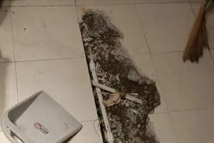 金水卫生间漏水检测电话